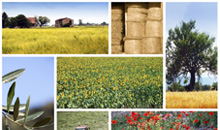 Agricultura